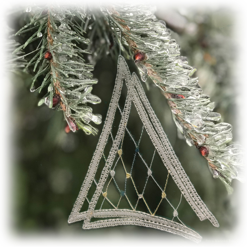 Christmass Tree (2021)